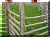 Fence, hurdles detail P6050116.JPG (649903 bytes)