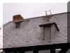 Rodrigue House west roof P6050052.JPG (670593 bytes)